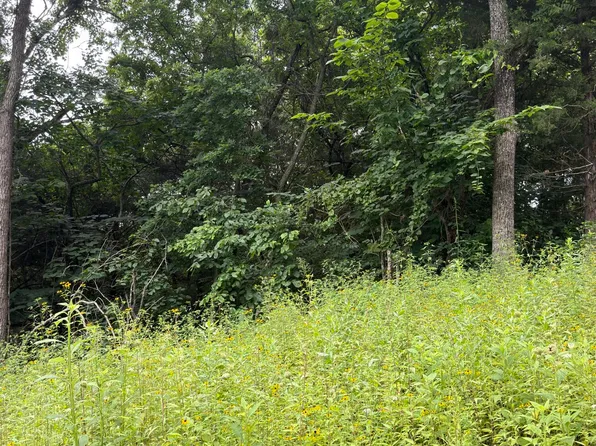 Lot 219 Big Creek Road, Shell Knob, MO 65747