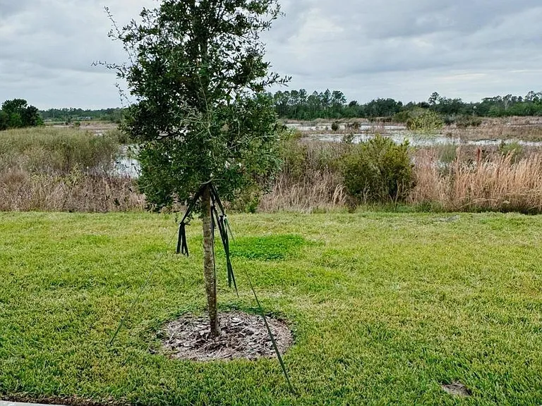 1838 Sanibel Dr — Photo 9