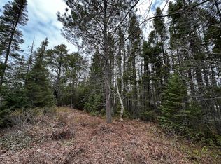 11151 N Whitefish Point Rd, Paradise, MI 49768