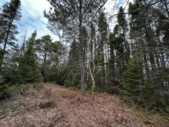 11151 N Whitefish Point Rd, Paradise, MI 49768