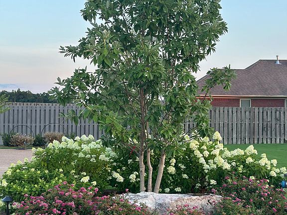 3rd image of 113 Water Ridge Pl