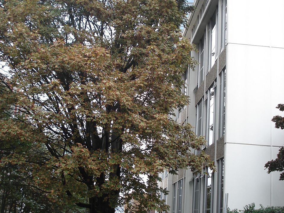 West Side of Bldg- Terry Ave