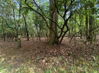 17 Buchanan St #C, Roaring Gap, NC 28668