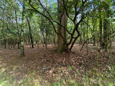 17-C Buchanan Street, Roaring Gap, NC, 28668