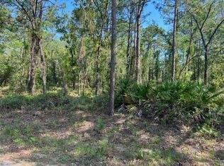 0 SW 90th Pl #1, Dunnellon, FL 34432