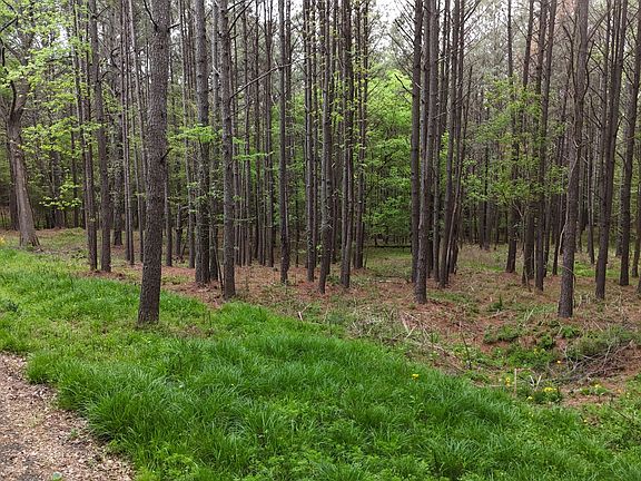 5th image of 0 Plantation Rd