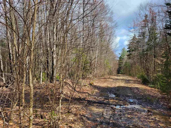 Lot 409-29 Knowles Hill West Road, Alexandria, NH 03222