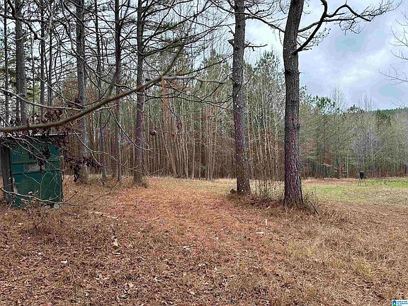 3rd image of 1767 County Road 70 #1