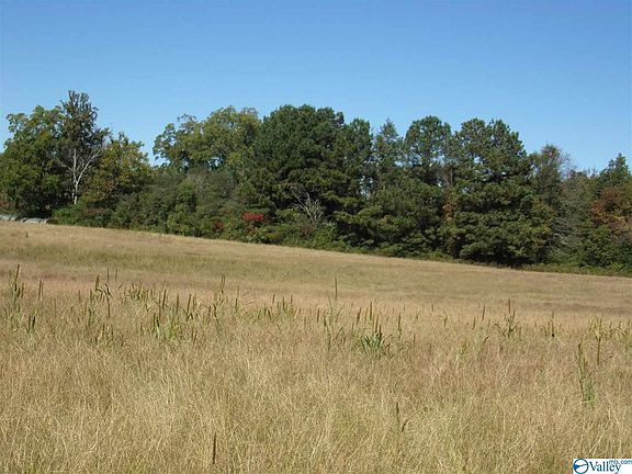 2nd image of 12435 County Road 88