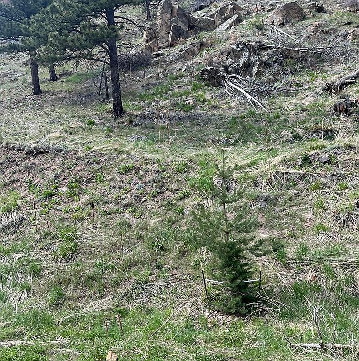 2nd image of 7400 Fourmile Canyon Dr