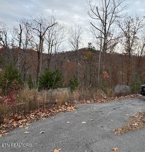 2333 Panther Way, Sevierville, TN, 37876