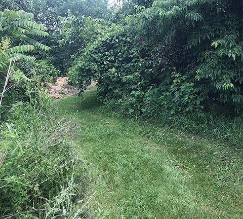 3rd image of Barley Ln