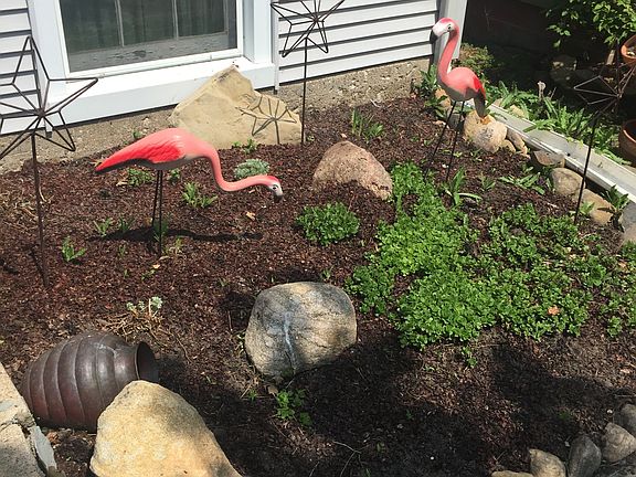 Front Garden
