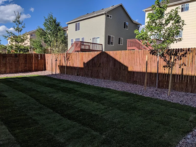 Professionally landscaped backyard with built-in sprinklers and drip system. Perfect for kids, pets, or socializing.