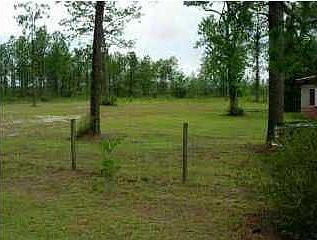 View of wooded property