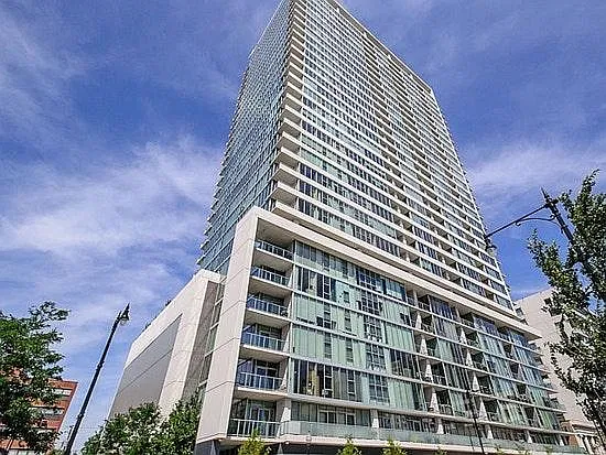 1720 S Michigan Ave #2217
