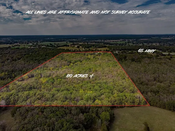 11596 Us Highway 65 Hwy, Cross Timbers, MO 65634