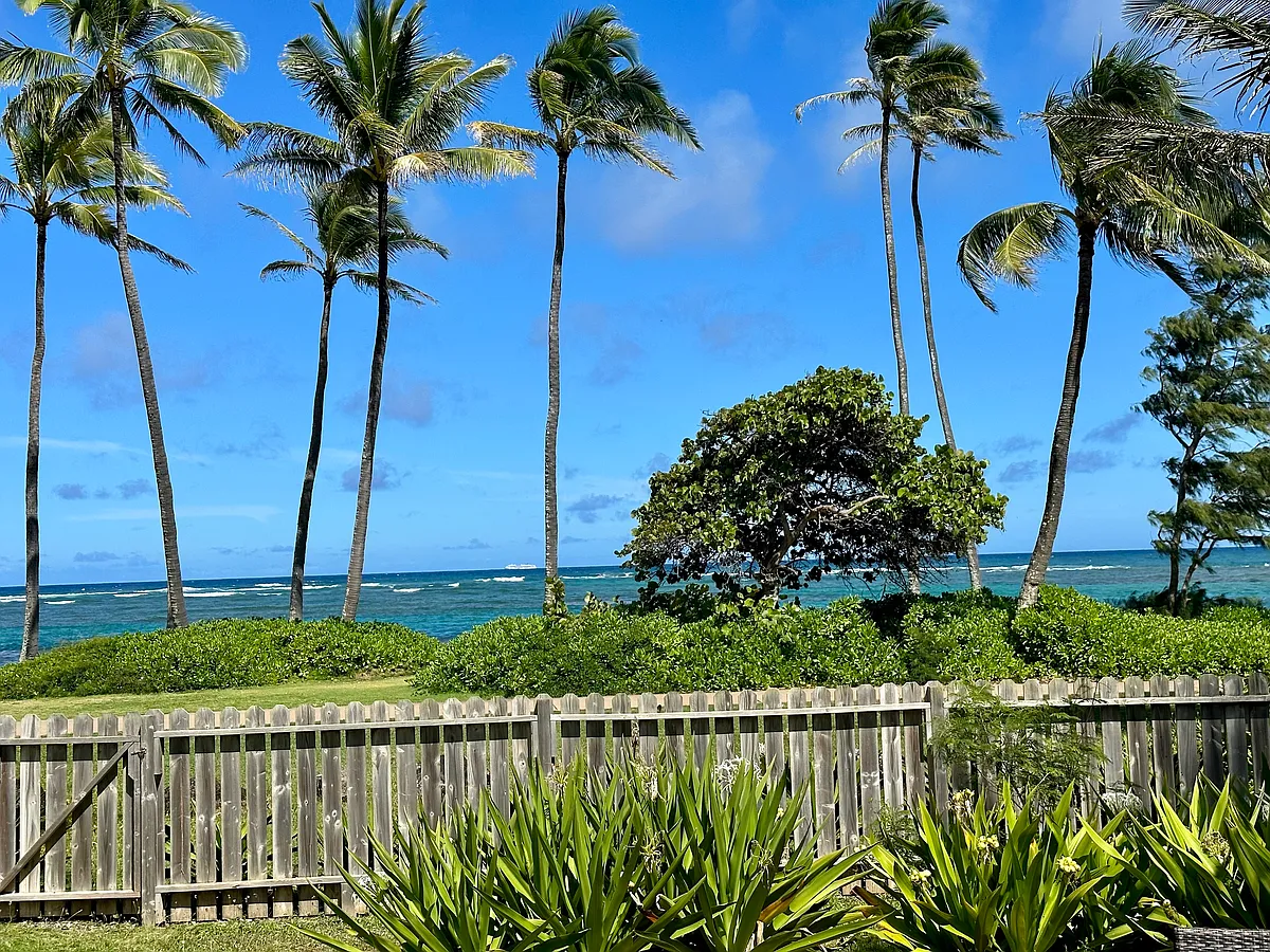 Building Photo - 4-1526 Kuhio Hwy