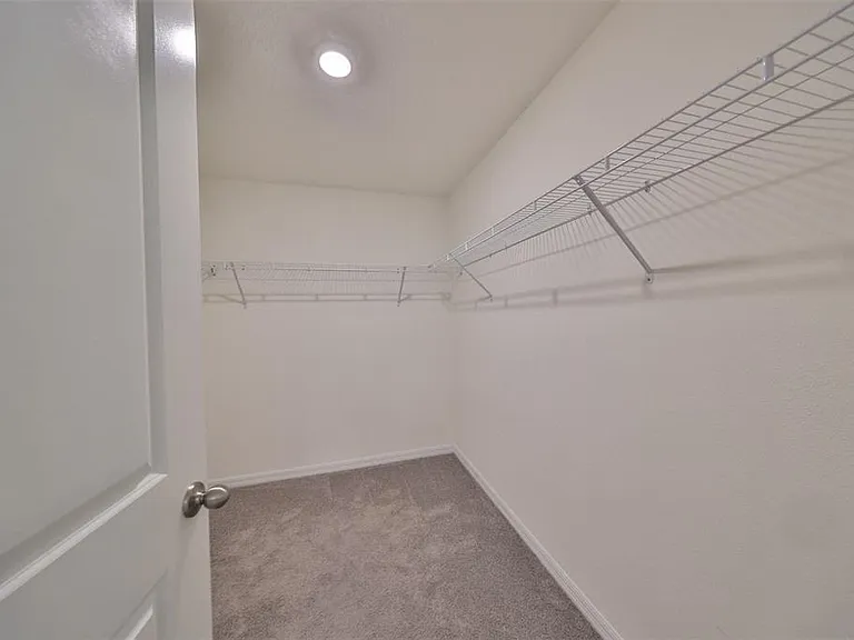 16782 Carlton Pond St — Photo 22