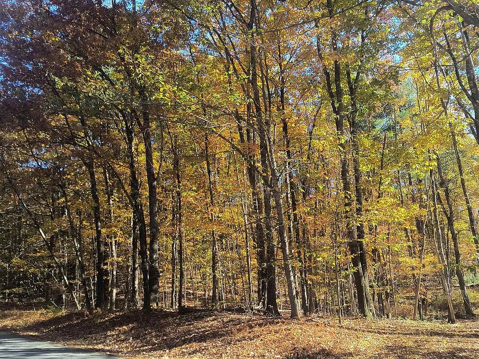 1st image of Map 8 Lot 77 Province Road