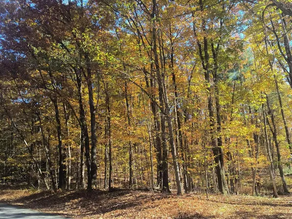 Map 8 Lot 77 Province Road, Strafford, NH 03884