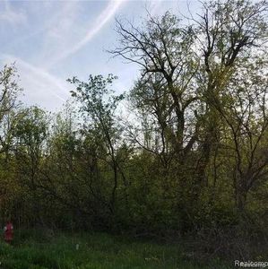 0 S Lapeer Rd, Lake Orion, MI, 48362