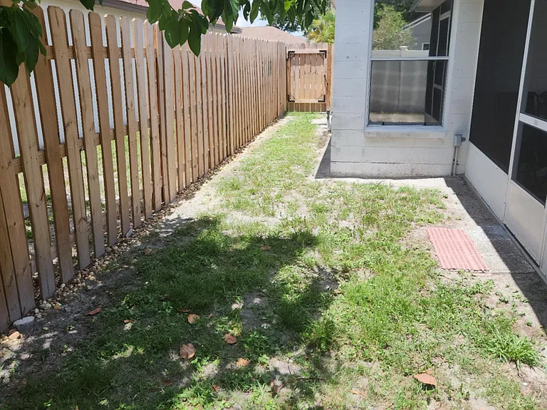 backyard picture