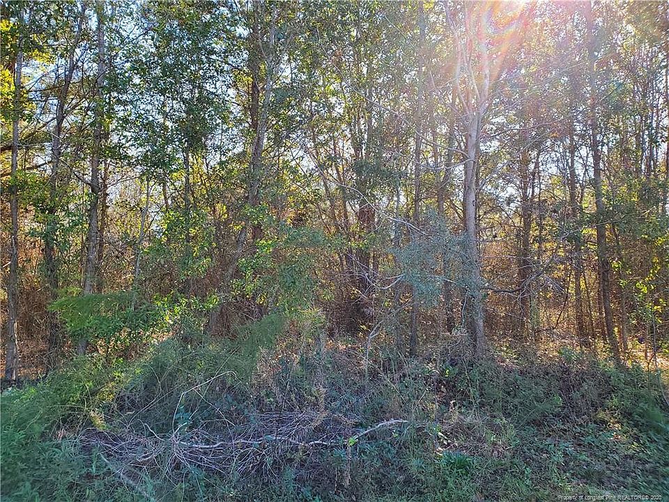 2nd image of 217 Kendall Ct