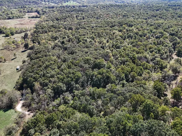 0000 Grape Vine, Marshfield, MO 65706