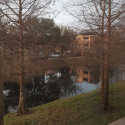 Pond view from master