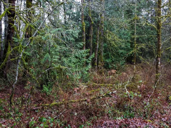 0 SE Arcadia Road, Shelton, WA 98584