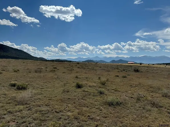 567 Trails End Ct, Cotopaxi, CO 81223