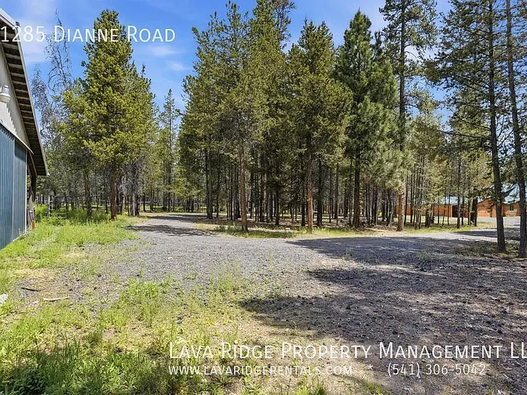 51285 Dianne Rd — Photo 56