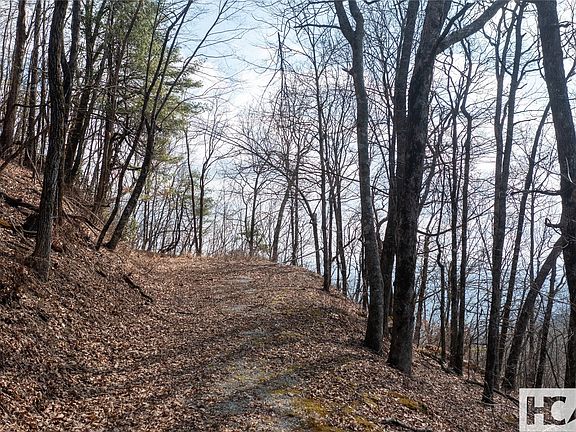 4th image of LOT 1 King Gap Road