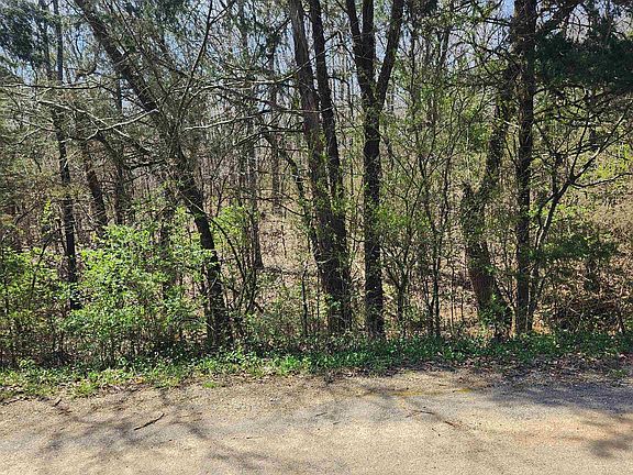 3rd image of L-19-B Ouachita Rd #9