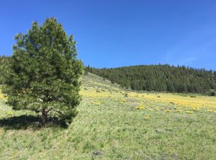 LOT 1 Diamond Park S LOT 1, Plains, MT 59859