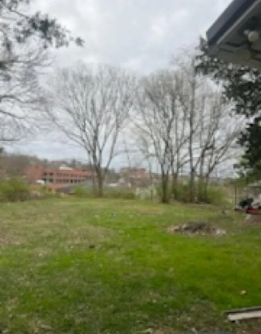 2 bed, 100 sqft, $1,200 — Photo 2
