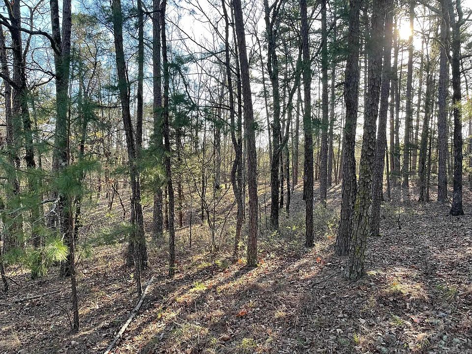 1st image of 3 Caponia Ln