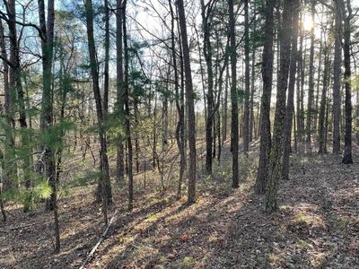 3 Caponia Ln, Hot Springs Village, AR, 71909
