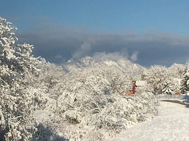 View from back - winter