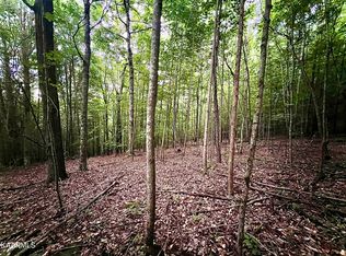 149 Whistle Valley Rd, New Tazewell, TN 37825