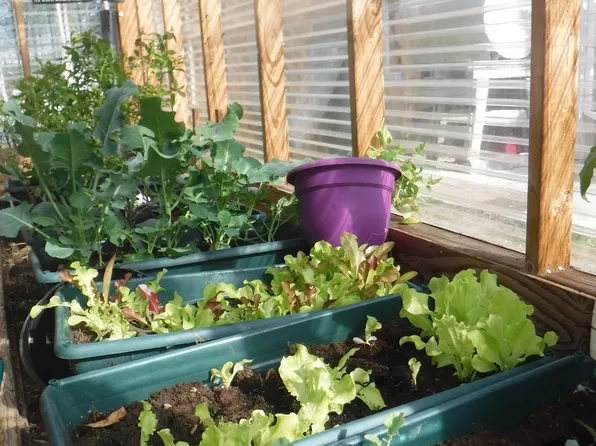 12468 S Knik Goose Bay Rd, Wasilla, AK