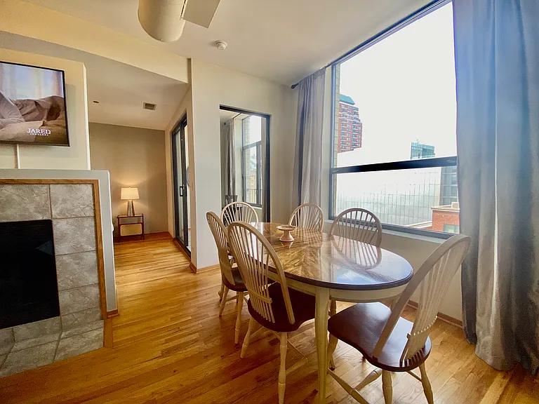 910 S Michigan Ave #1308 — Photo 14
