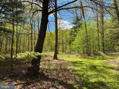 84 Alex Ln, Berkeley Springs, WV, 25411