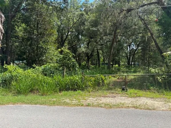 0 NW 166th St Lot 29, Trenton, FL 32693