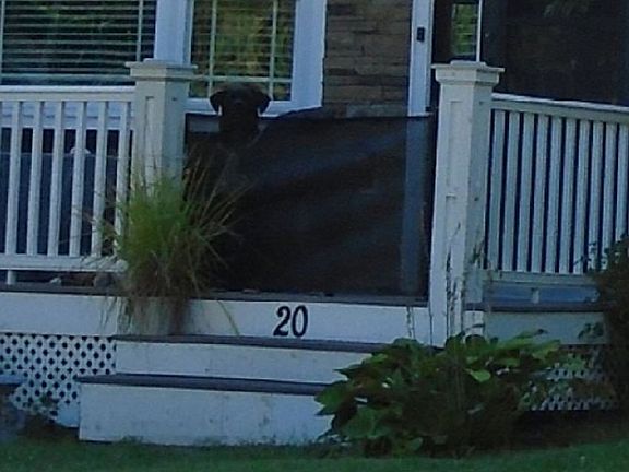 Exterior Address Verification