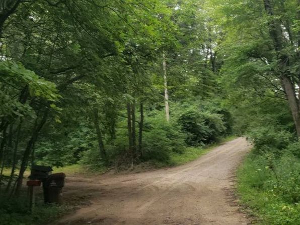 14950 Loon Lake Dr, Bellevue, MI 49021