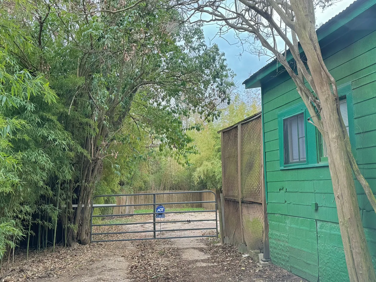 3 bed, 1224 sqft, $1,600 — Photo 4
