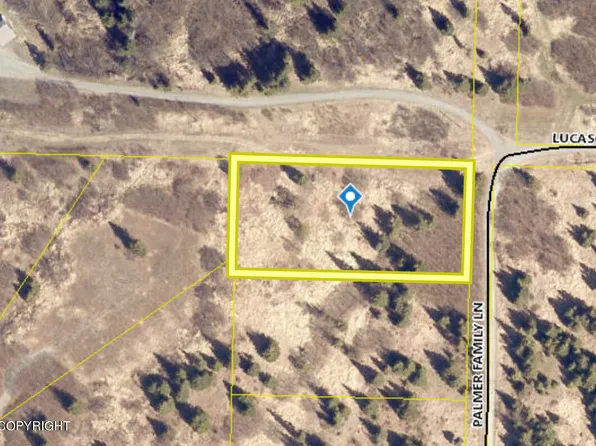 17021 Palmer Family Ln, Ninilchik, AK 99639