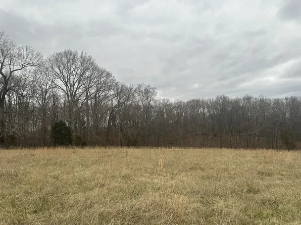 2 Myatt Loop, Burns, TN 37029